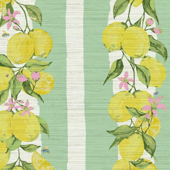 Grasscloth wallpaper Natural Textured Eco-Friendly Non-toxic High-quality  Sustainable Interior Design Bold Custom Tailor-made Retro chic Grand millennial Maximalism  Traditional Dopamine decor Coastal Garden Seaside Seashore Waterfront Cottage core Countryside Vintage Imperfect Rural Farm core rustic stripe feminine floral lemon stripe horizontal fruit food  preppy stripe yellow white pink mint green 