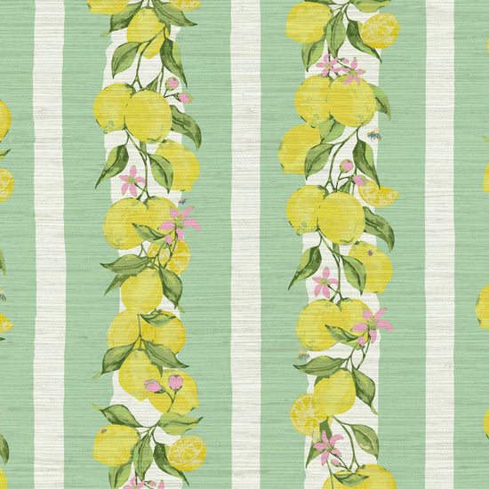 Grasscloth wallpaper Natural Textured Eco-Friendly Non-toxic High-quality  Sustainable Interior Design Bold Custom Tailor-made Retro chic Grand millennial Maximalism  Traditional Dopamine decor Coastal Garden Seaside Seashore Waterfront Cottage core Countryside Vintage Imperfect Rural Farm core rustic stripe feminine floral lemon stripe horizontal fruit food  preppy stripe yellow white pink mint green 