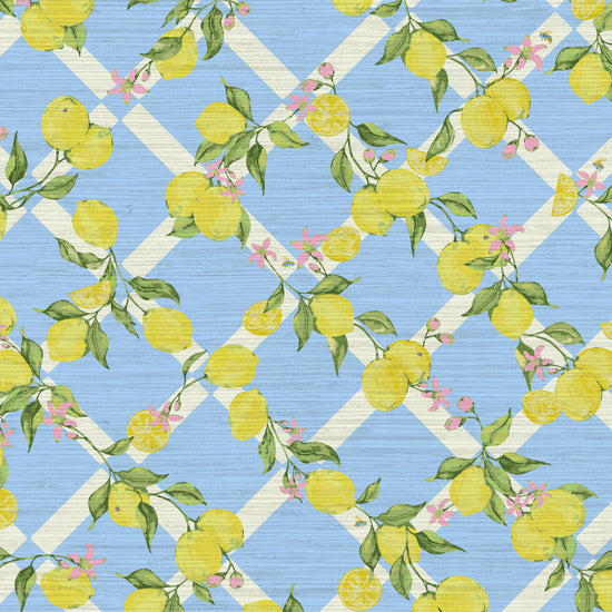 Grasscloth wallpaper Natural Textured Eco-Friendly Non-toxic Sustainable Interior Design  Retro chic Grand millennial Maximalism  Traditional Dopamine decorCoastal Garden Seaside Seashore Waterfront Vacation home styling Retreat Relaxed beach vibes Beach cottage Shoreline Oceanfront preppy Nature inspired Vertical Grid lemons fruit food  Cottage core Countryside Vintage Imperfect Rural Farm core rustic stripe yellow pink flowers lattice botanical yellow green leaf french blue pale baby kids sky blue