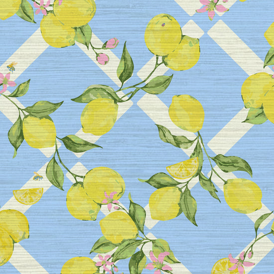 Grasscloth wallpaper Natural Textured Eco-Friendly Non-toxic Sustainable Interior Design  Retro chic Grand millennial Maximalism  Traditional Dopamine decorCoastal Garden Seaside Seashore Waterfront Vacation home styling Retreat Relaxed beach vibes Beach cottage Shoreline Oceanfront preppy Nature inspired Vertical Grid lemons fruit food  Cottage core Countryside Vintage Imperfect Rural Farm core rustic stripe yellow pink flowers lattice botanical yellow green leaf french blue pale baby kids sky blue