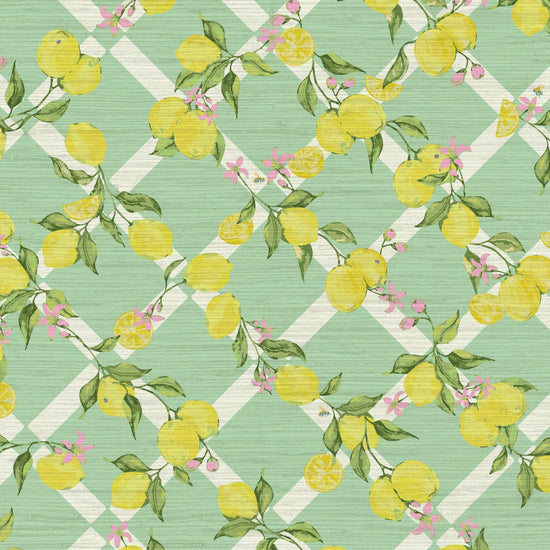 Grasscloth wallpaper paper weave Natural Textured Eco-Friendly Non-toxic Sustainable Interior Design Retro chic Grand millennial Maximalism Traditional Dopamine decorCoastal Garden Seaside Seashore Waterfront Vacation home styling Retreat Relaxed beach vibes Beach cottage Shoreline Oceanfront preppy Nature inspired Vertical Grid lemons fruit food Cottage core Countryside Vintage Imperfect Rural Farm core rustic stripe yellow pink flowers lattice botanical yellow green leaf pale baby kids sky green mint sage