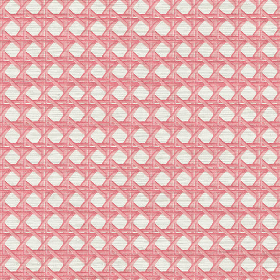 Sugar Cane Mini Wallpaper in Coral Is Calling by Little Blue Designs